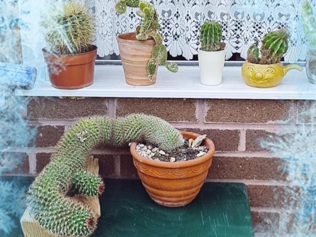 Beautiful Apartment ブリストル エクステリア 写真